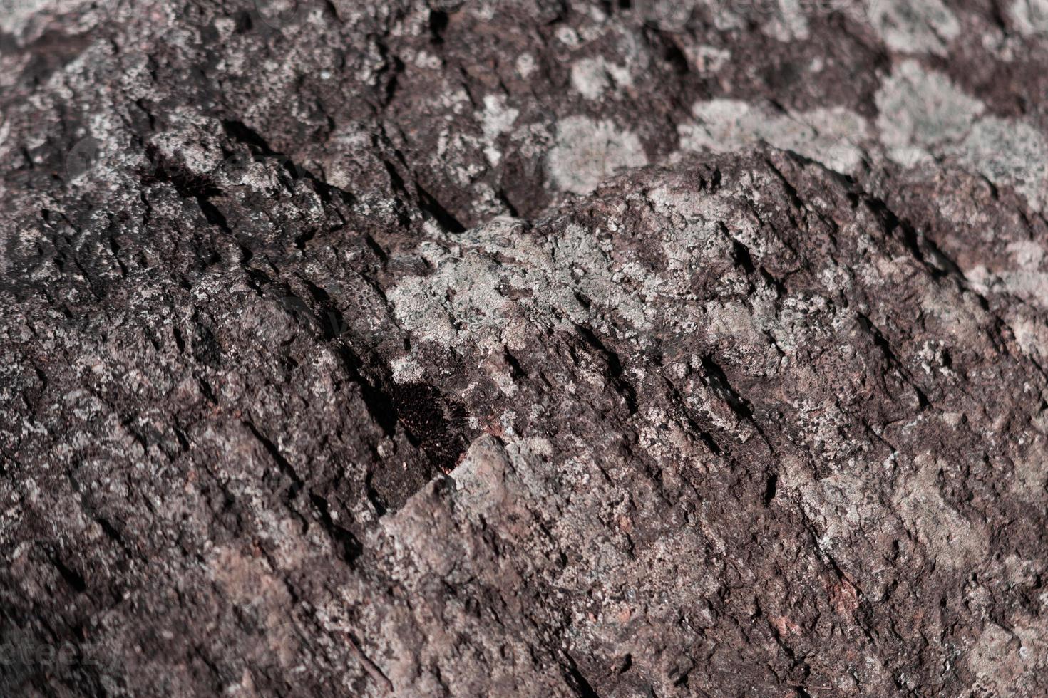 texture roccia grigia e nera le pietre nere grigio scuro sono tutte marmo e texture per la produzione di piastrelle foto