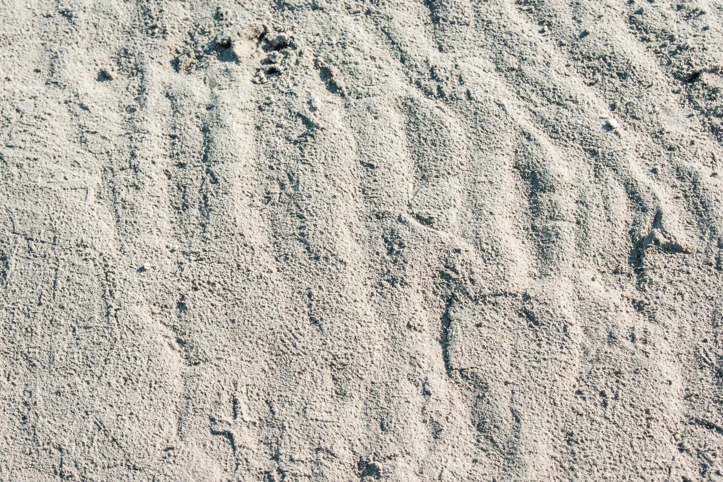 natura del seme del mare strutturato struttura della foglia verde. foglia trama sfondo sfondo della campagna all'aperto su sfondo foto