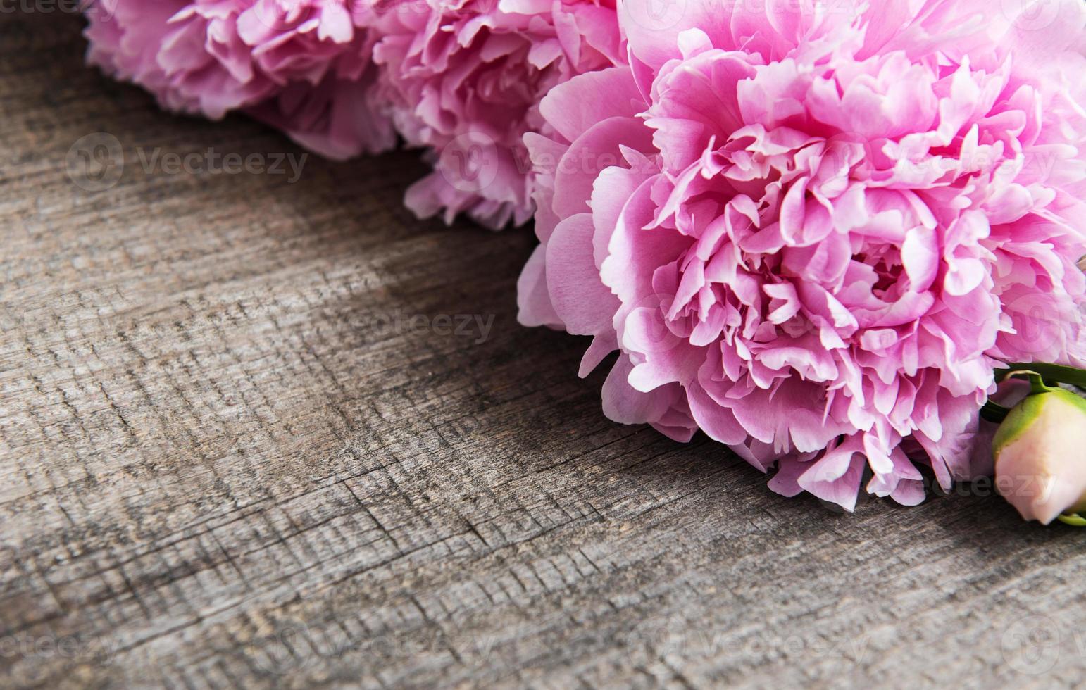 fiori di peonia rosa foto