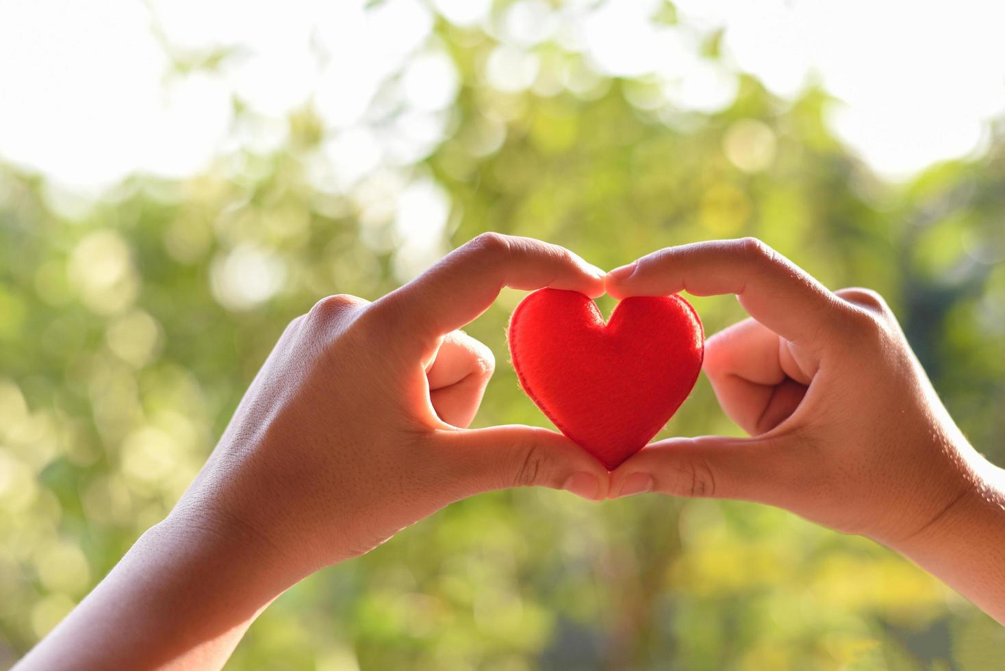 cuore in mano per il concetto di filantropia - donna che tiene il cuore rosso in mano per san valentino o donare aiuto dare amore calore prendersi cura foto