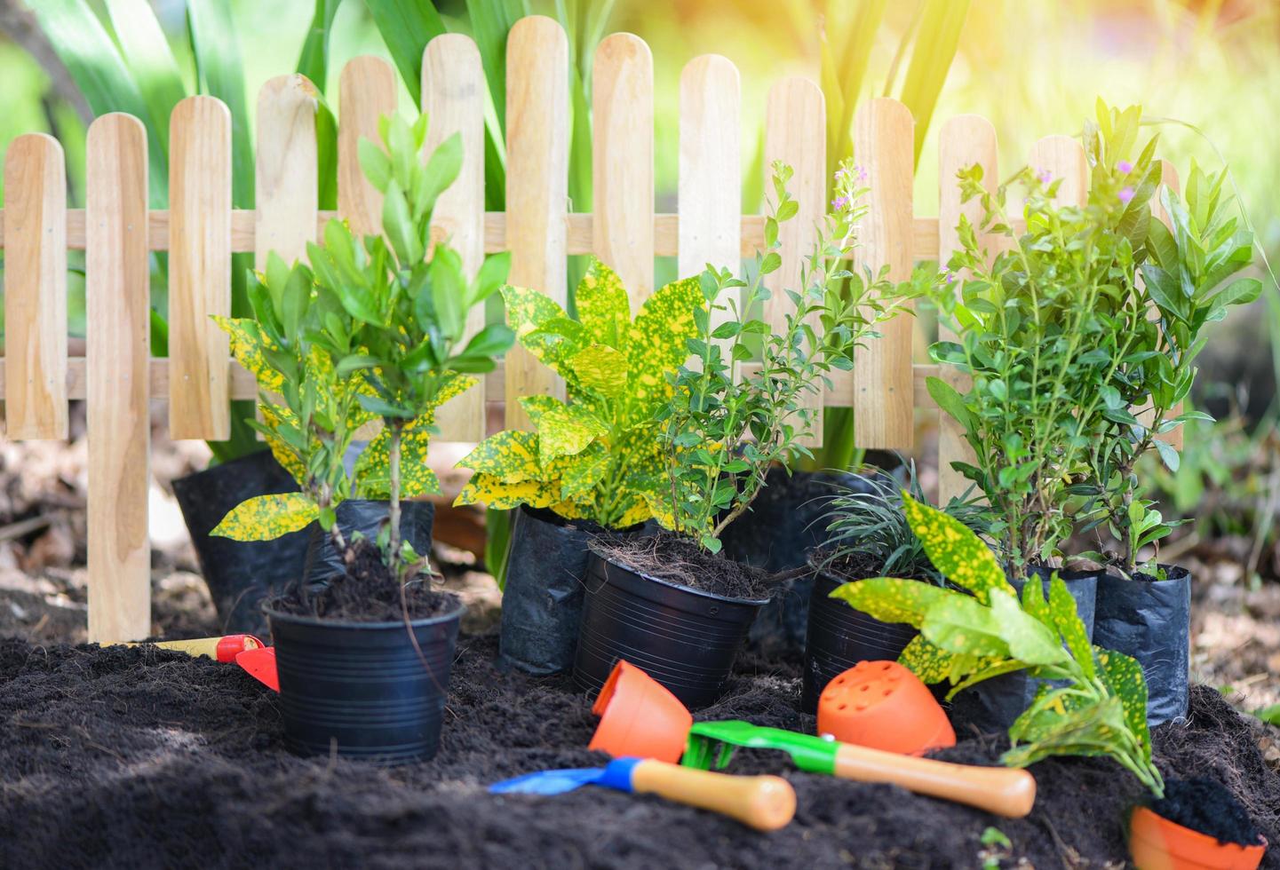 attrezzi da giardinaggio sullo sfondo del suolo pronti per piantare fiori e piccole piante nel concetto di lavori in giardino foto