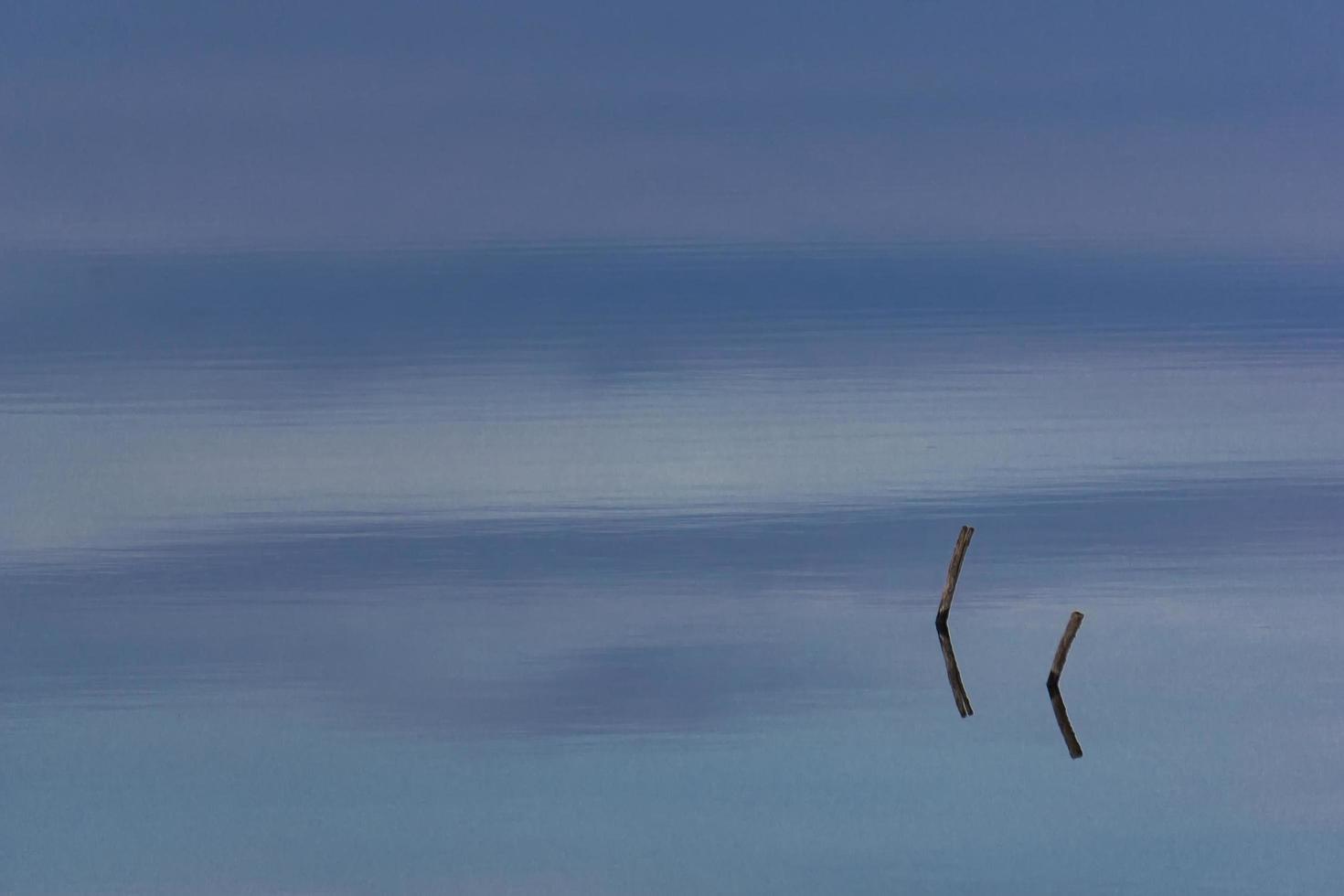 legname galleggiante sul lago calmo foto