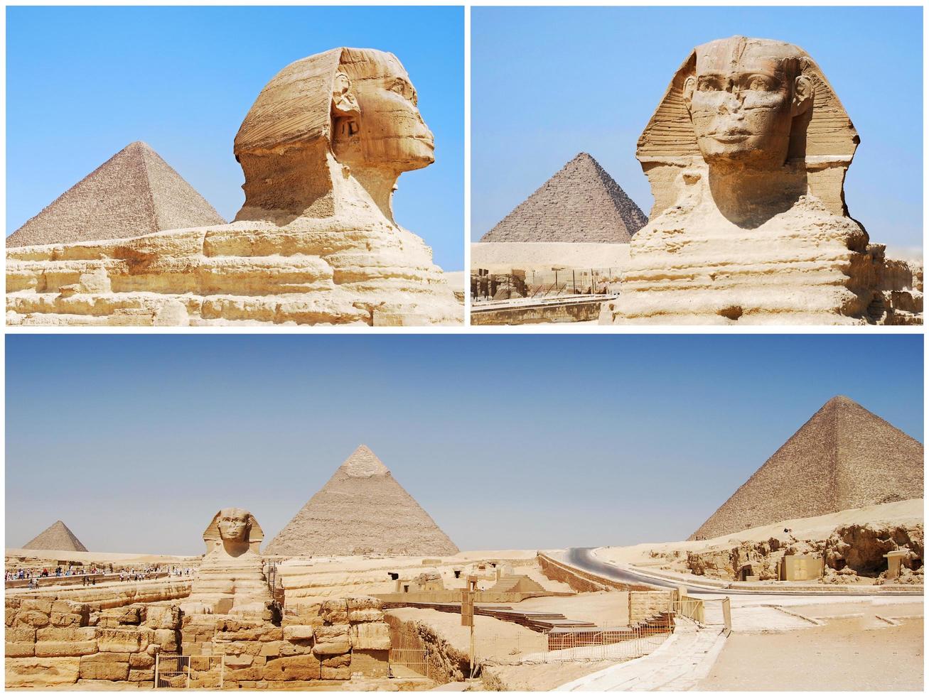 collage di foto della grande sfinge a giza. Cairo. Egitto