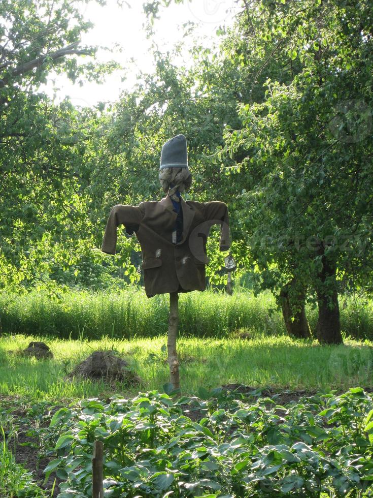 spaventapasseri spaventoso in giardino scoraggia gli uccelli affamati foto