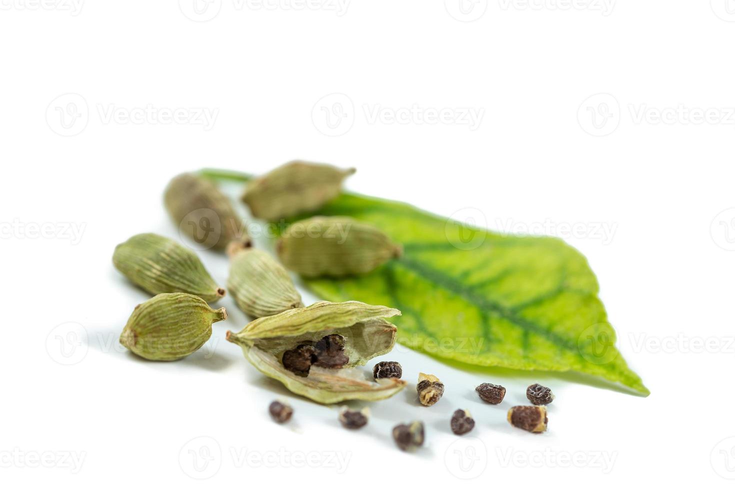 cardamomo verde. foglie e semi, alternativa, medicina. foto