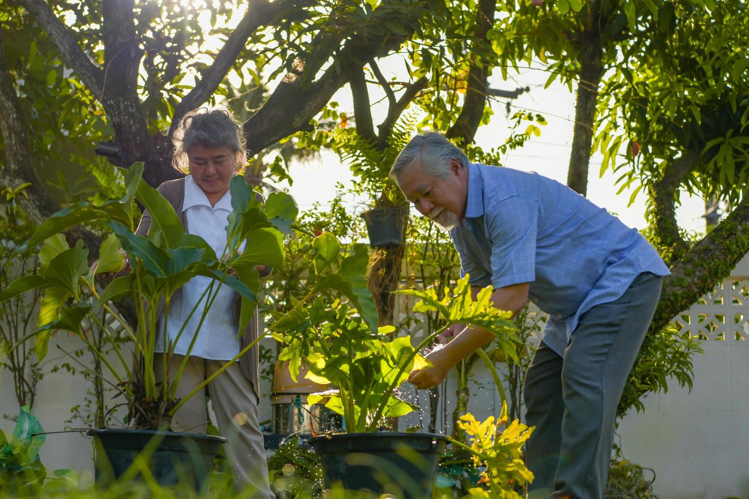 coppie anziane in giardino. foto