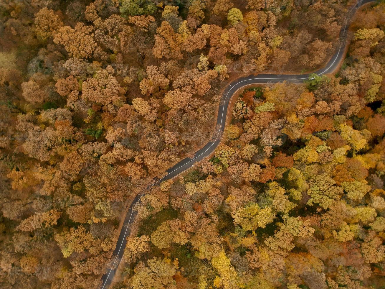 vista aerea sulla strada nella foresta autunnale foto