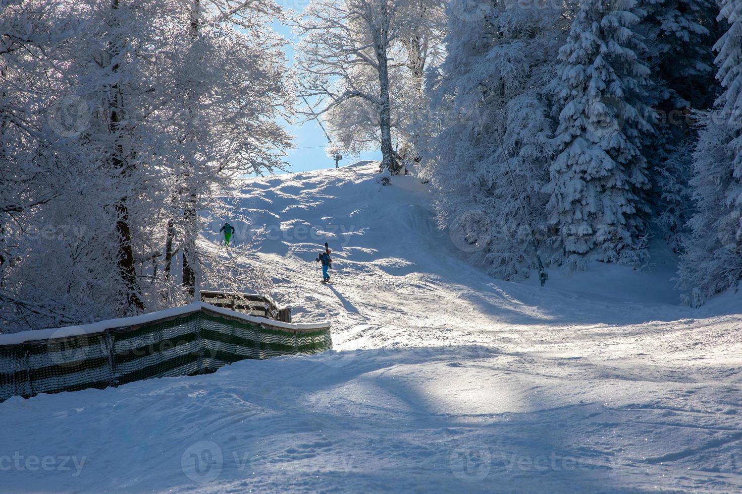 Scialpinisti sul pendio nella soleggiata foresta invernale in Baviera foto