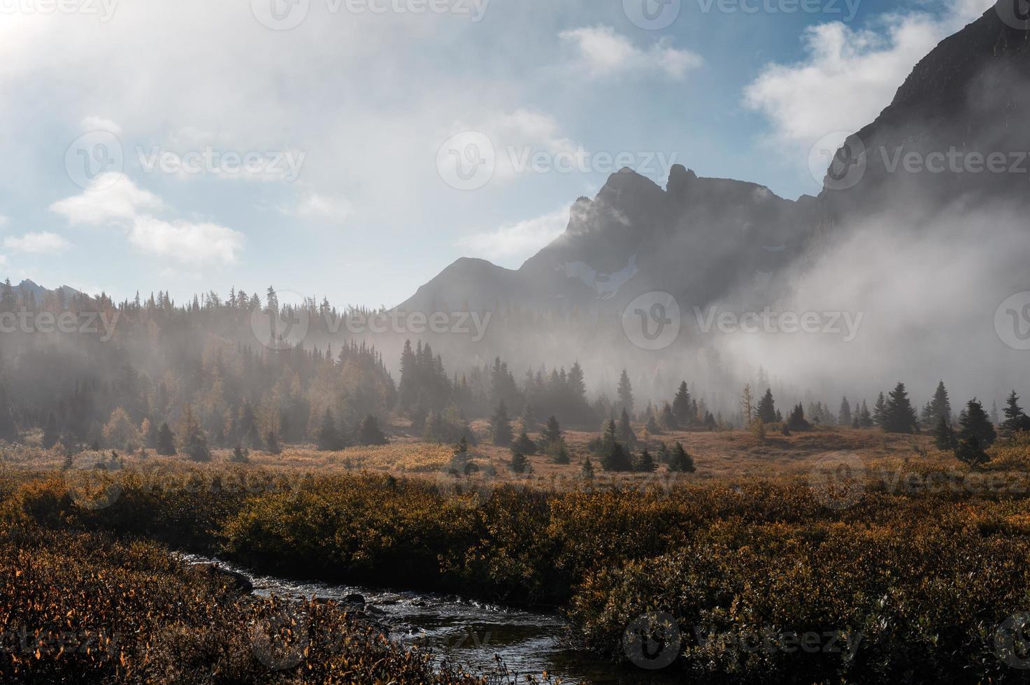 montagne rocciose nella nebbia sulla foresta autunnale al mattino al parco provinciale di assiniboine foto