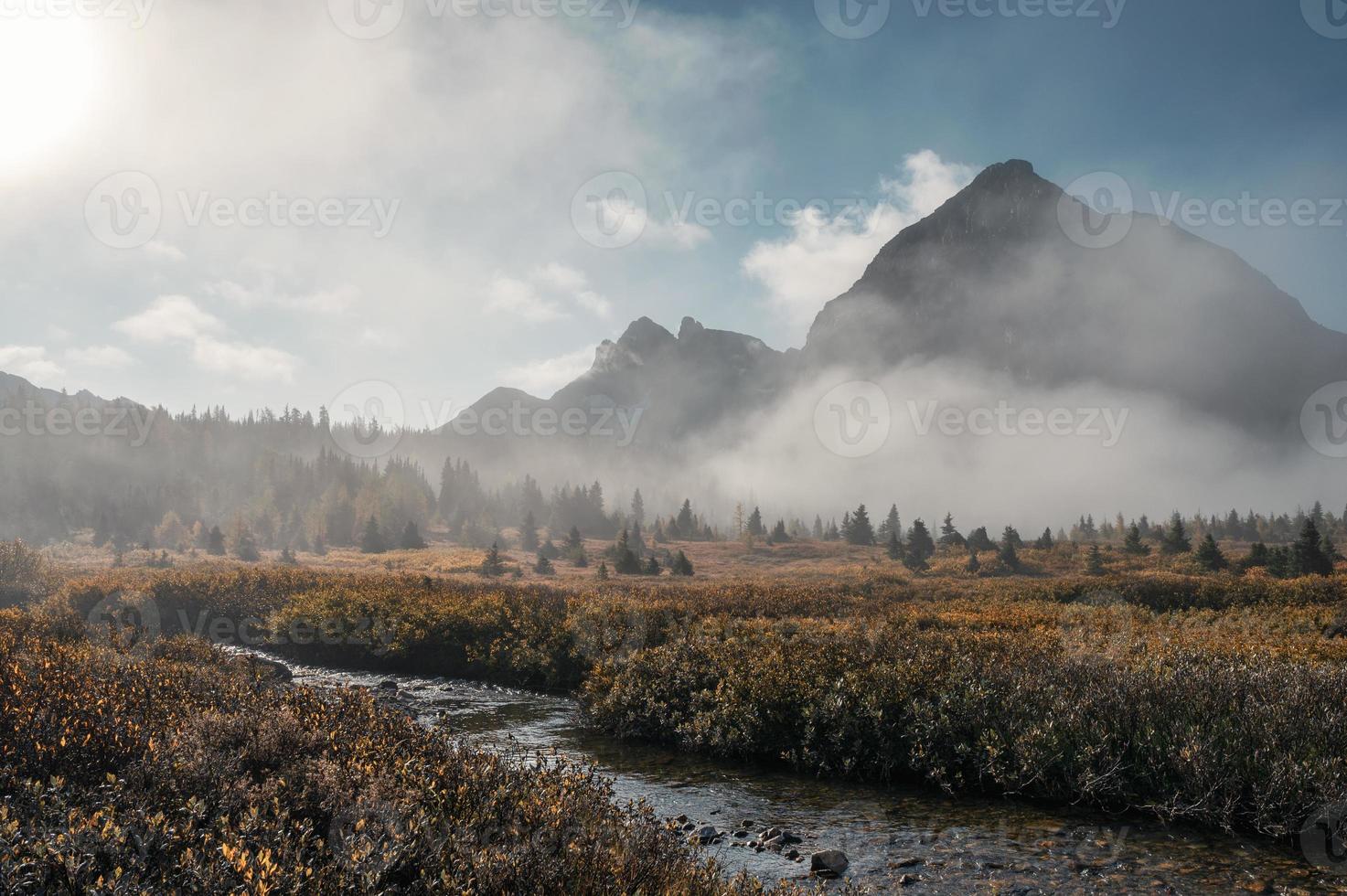 montagne rocciose nella nebbia sulla foresta autunnale al mattino al parco provinciale di assiniboine foto