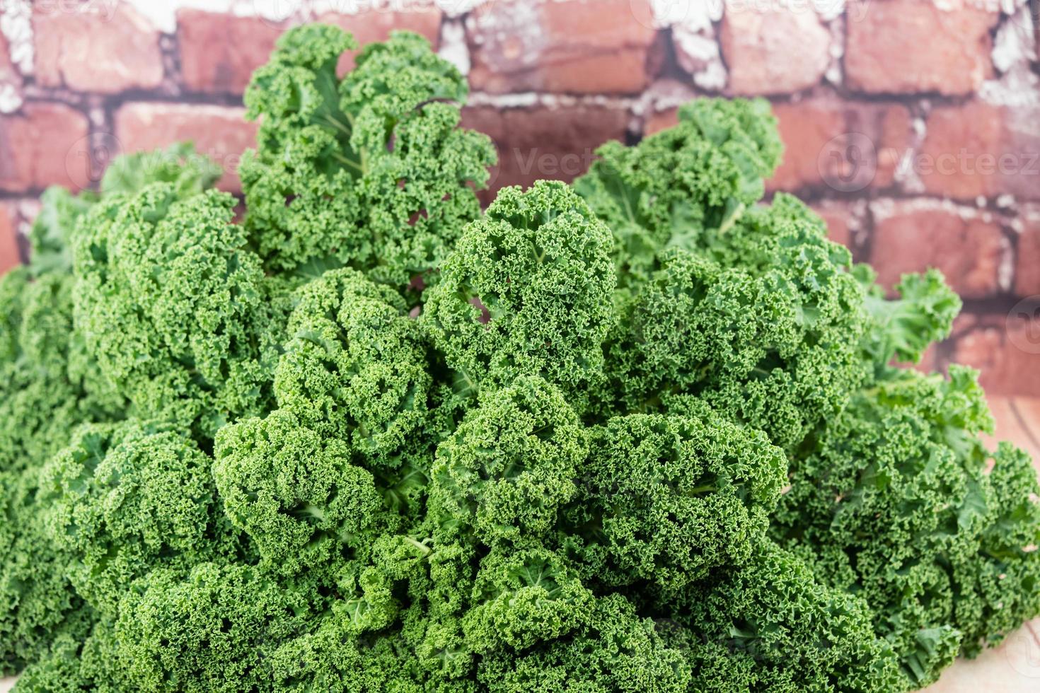 cibo tradizionale della Germania settentrionale cavolo riccio verde foto