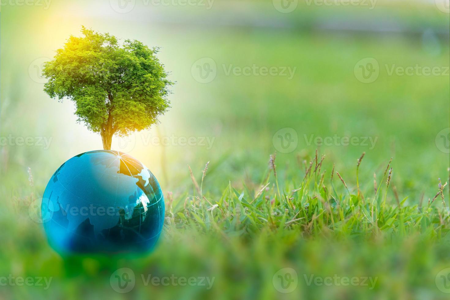 illustrazione 3d concetto di energia rinnovabile giornata della terra o protezione ambientale proteggere le foreste che crescono sul terreno e aiutare a salvare il pianeta. foto