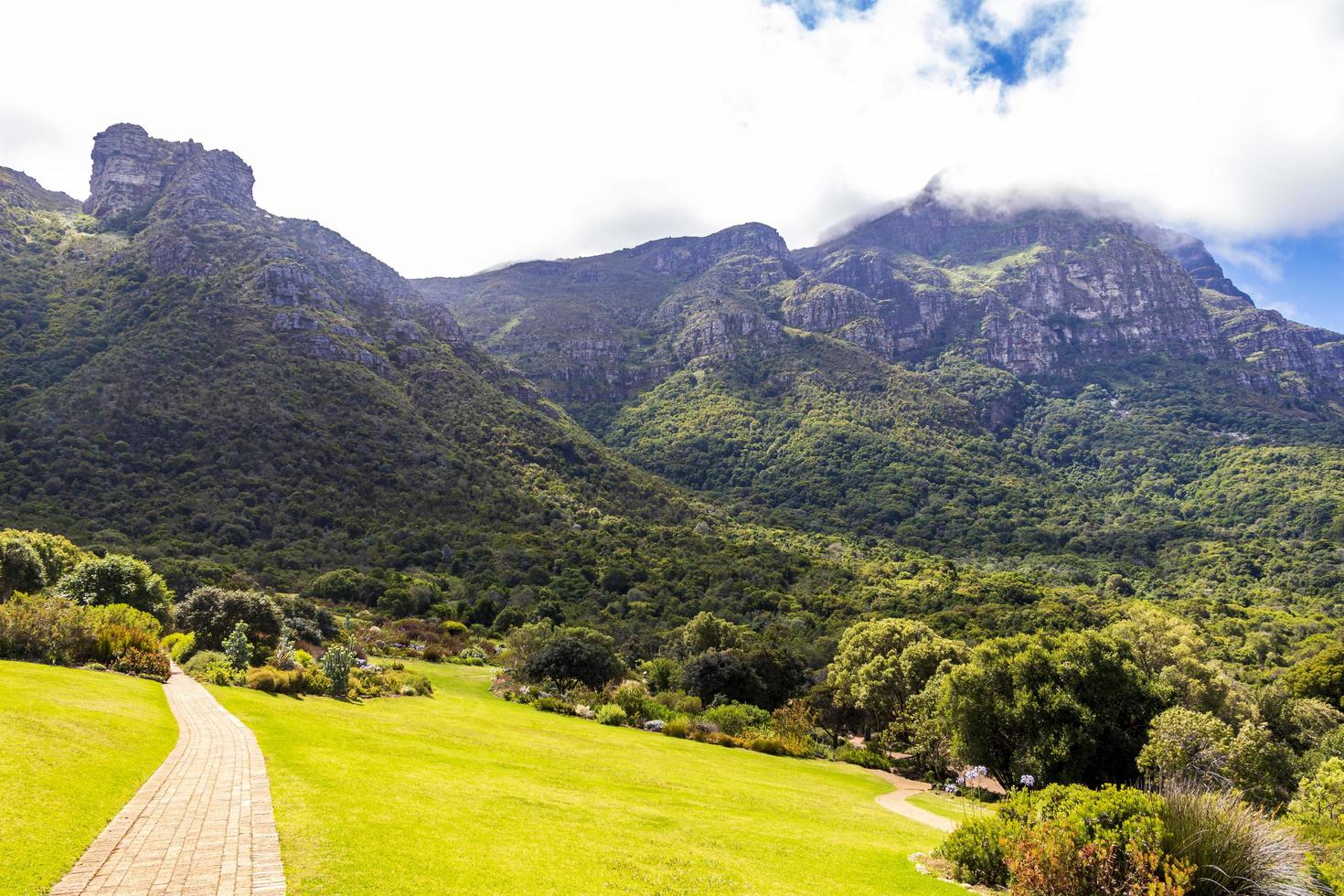 Giardino botanico nazionale di Kirstenbosch, Città del Capo, Sud Africa. foto