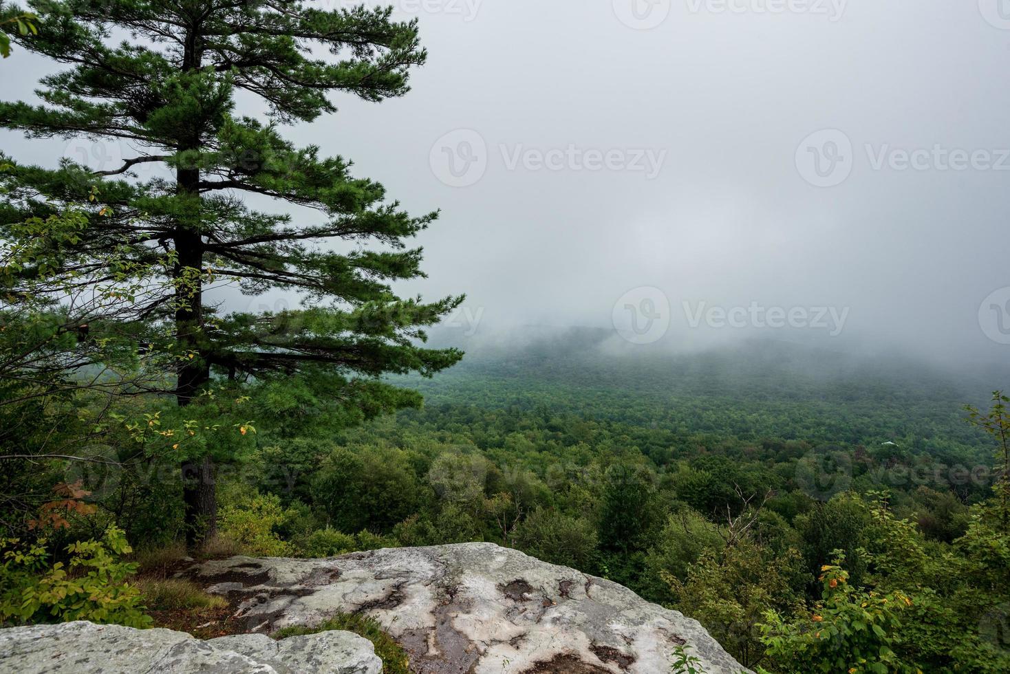 nebbia sul lago minnewaska foto