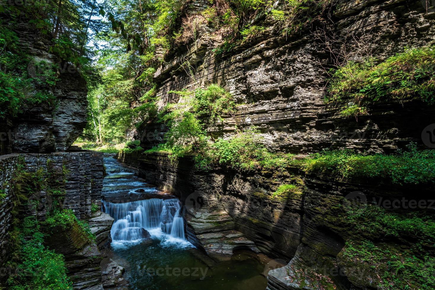 sentiero della gola del parco statale robert h treman foto