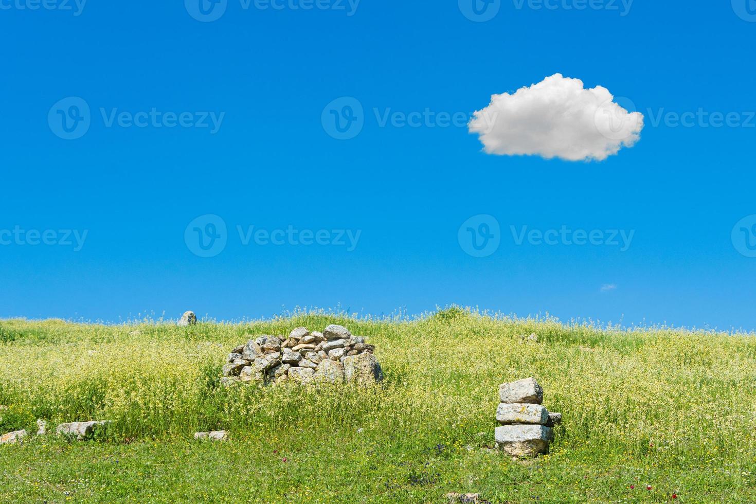 bellissimo campo verde naturale con cielo sereno e singola nuvola nella stagione estiva foto