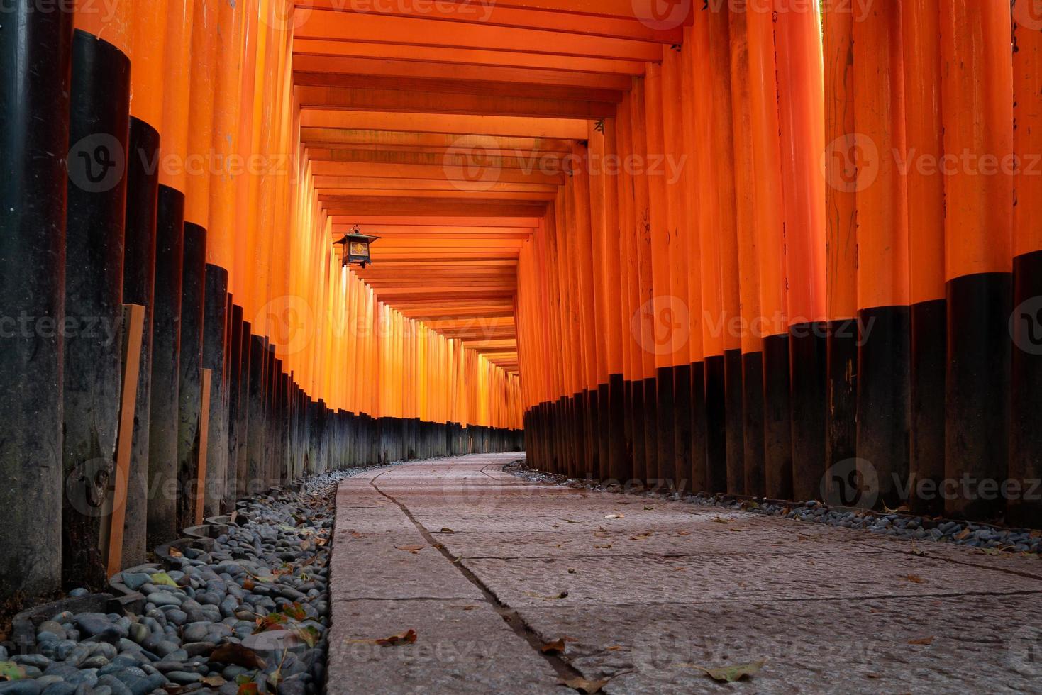 il percorso pedonale dei cancelli torii rossi al santuario fushimi inari taisha quello dei punti di riferimento dell'attrazione per i turisti a kyoto, in giappone. foto