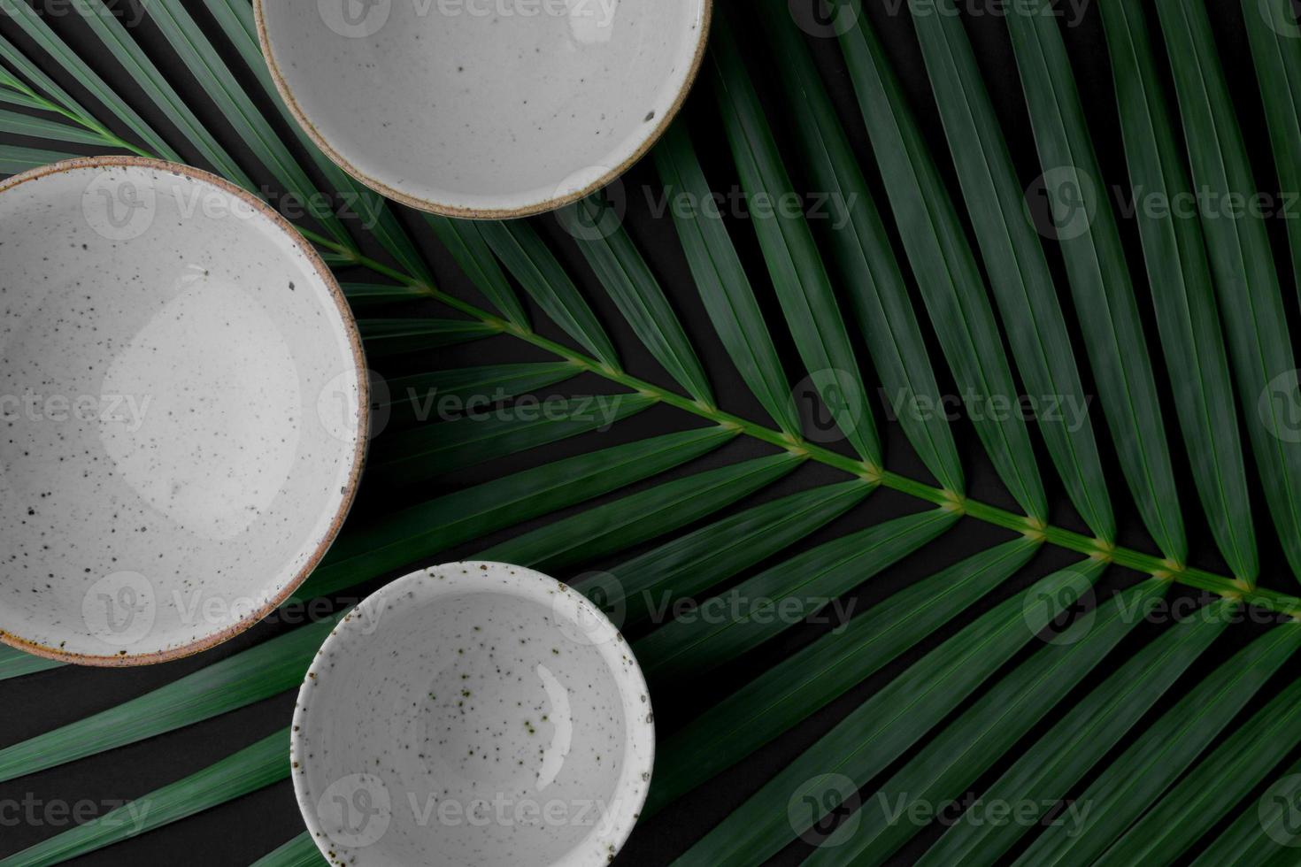 foglia verde stili minimali foglie di palma verde tropicale su sfondo luminoso surrealismo minimo nero. foto