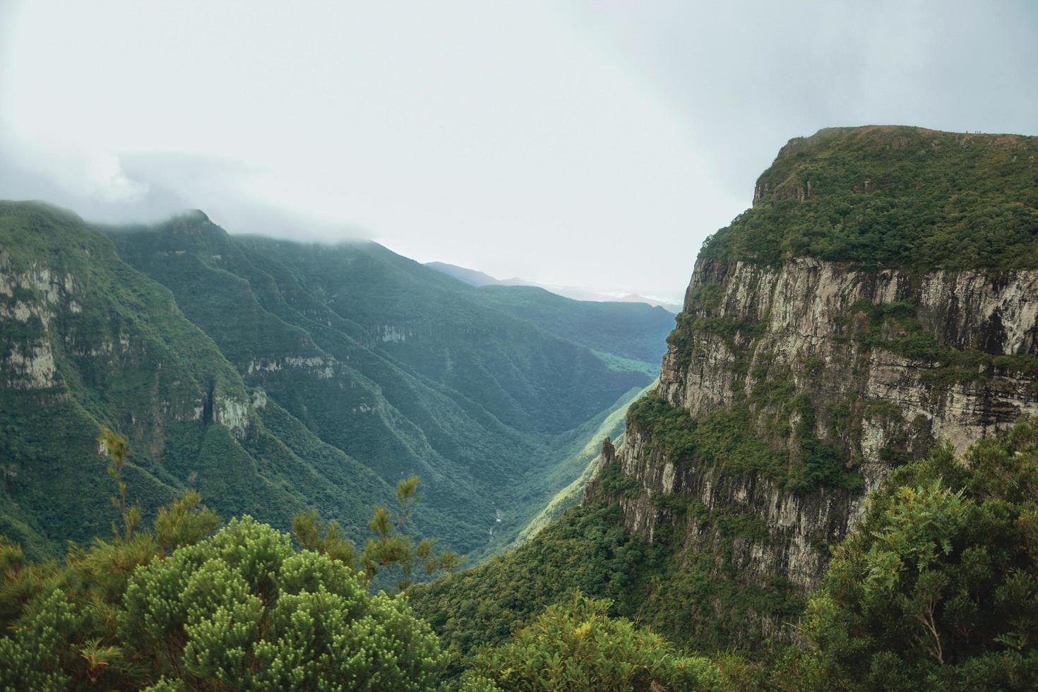 fortaleza canyon con ripide scogliere rocciose ricoperte da fitta foresta e nebbia che sale il burrone vicino a cambara do sul. una piccola cittadina di campagna nel sud del Brasile con incredibili attrazioni turistiche naturali. foto