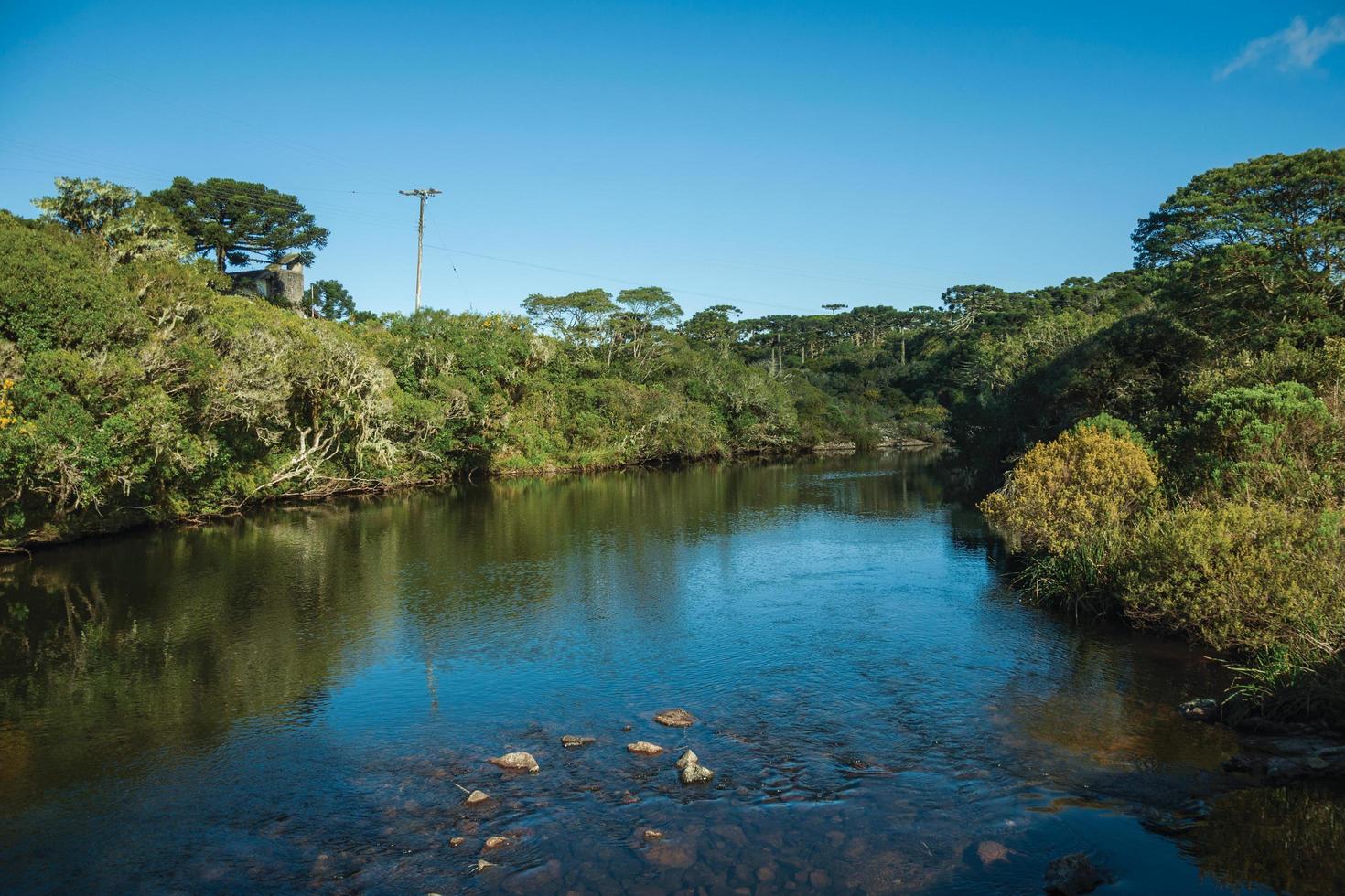 acqua cristallina su un torrente che attraversa la foresta nel parco nazionale aparados da serra vicino a cambara do sul. una piccola cittadina di campagna nel sud del Brasile con incredibili attrazioni turistiche naturali. foto