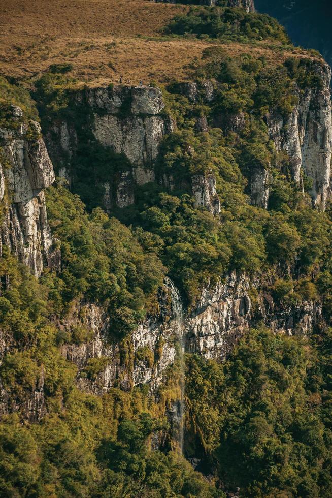 fortaleza canyon con ripide scogliere rocciose ricoperte da foresta e cascata proveniente dal bordo vicino a cambara do sul. una piccola cittadina di campagna nel sud del Brasile con incredibili attrazioni turistiche naturali. foto