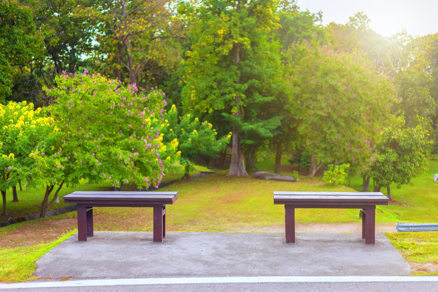 due sedie sedute sull'erba verde al parco, tono vivido foto