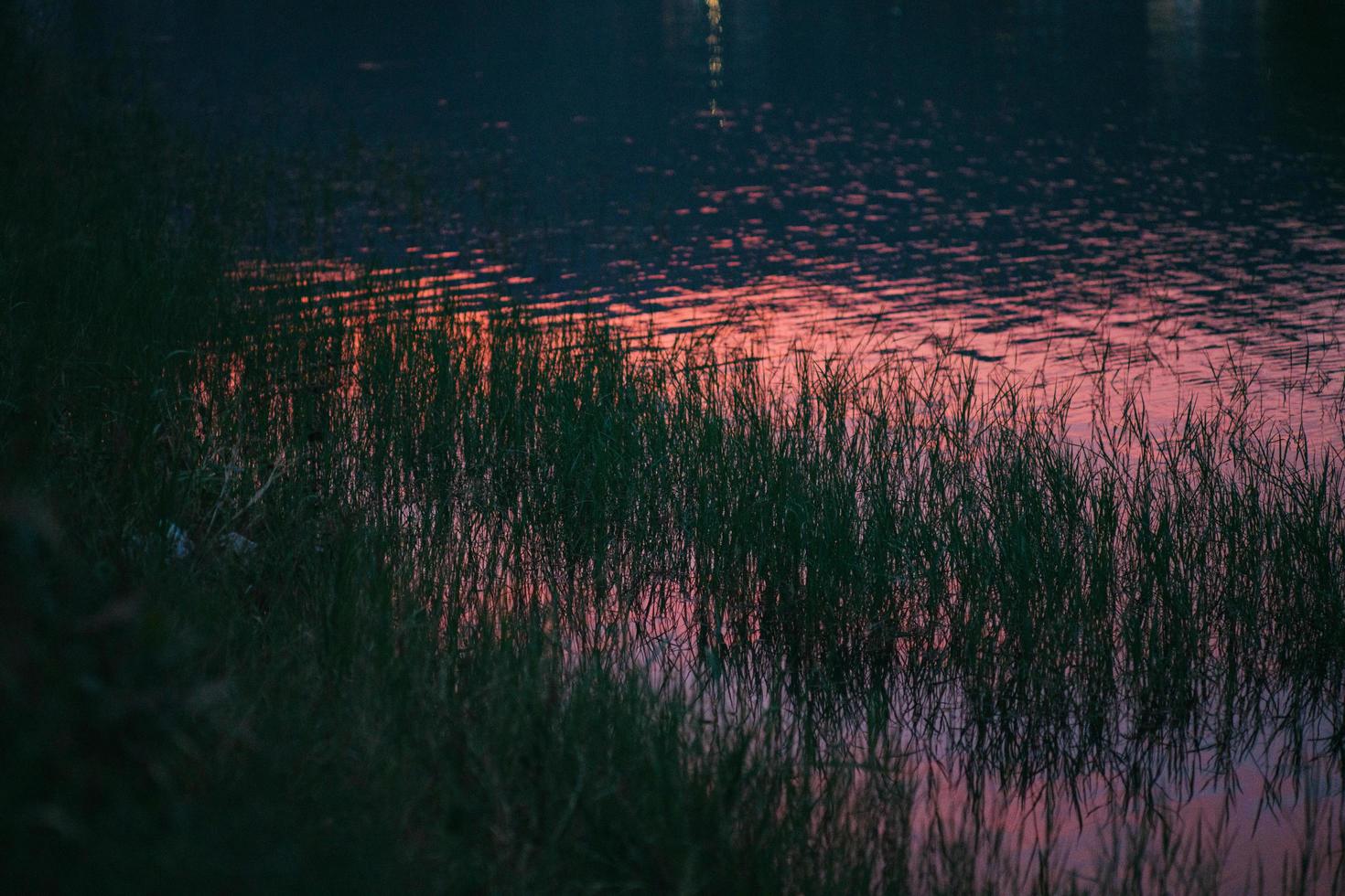 tramonto in riva al lago foto