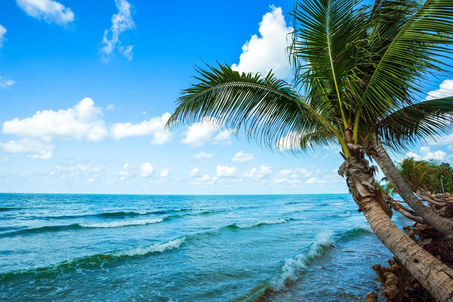 bella giornata su albero di cocco con il mare l'orizzonte a hat chao lao beach a chanthaburi thailandia. foto