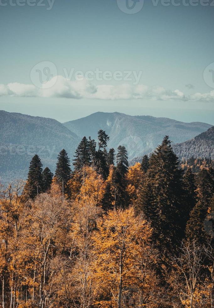 autunno nelle montagne di krasnaya polyana foto