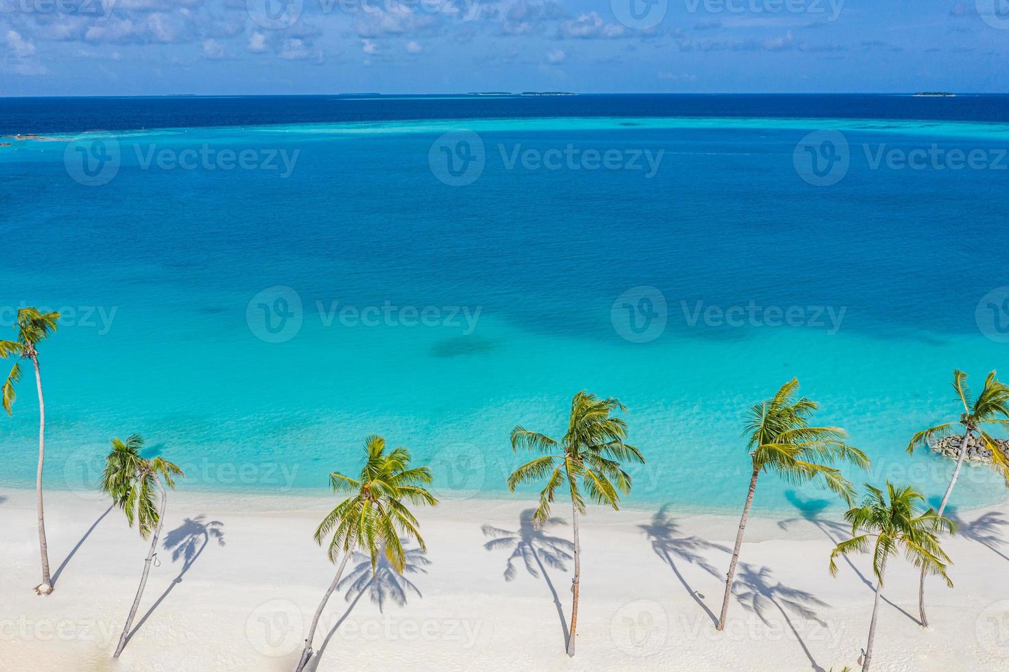 vista dall'alto ripresa aerea con drone di una bellissima spiaggia di sabbia bianca con palme da cocco verdi e acqua di mare cristallina in estate foto