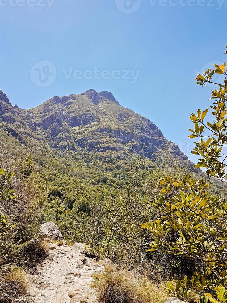 vista dal parco nazionale di table mountain, città del capo. foto