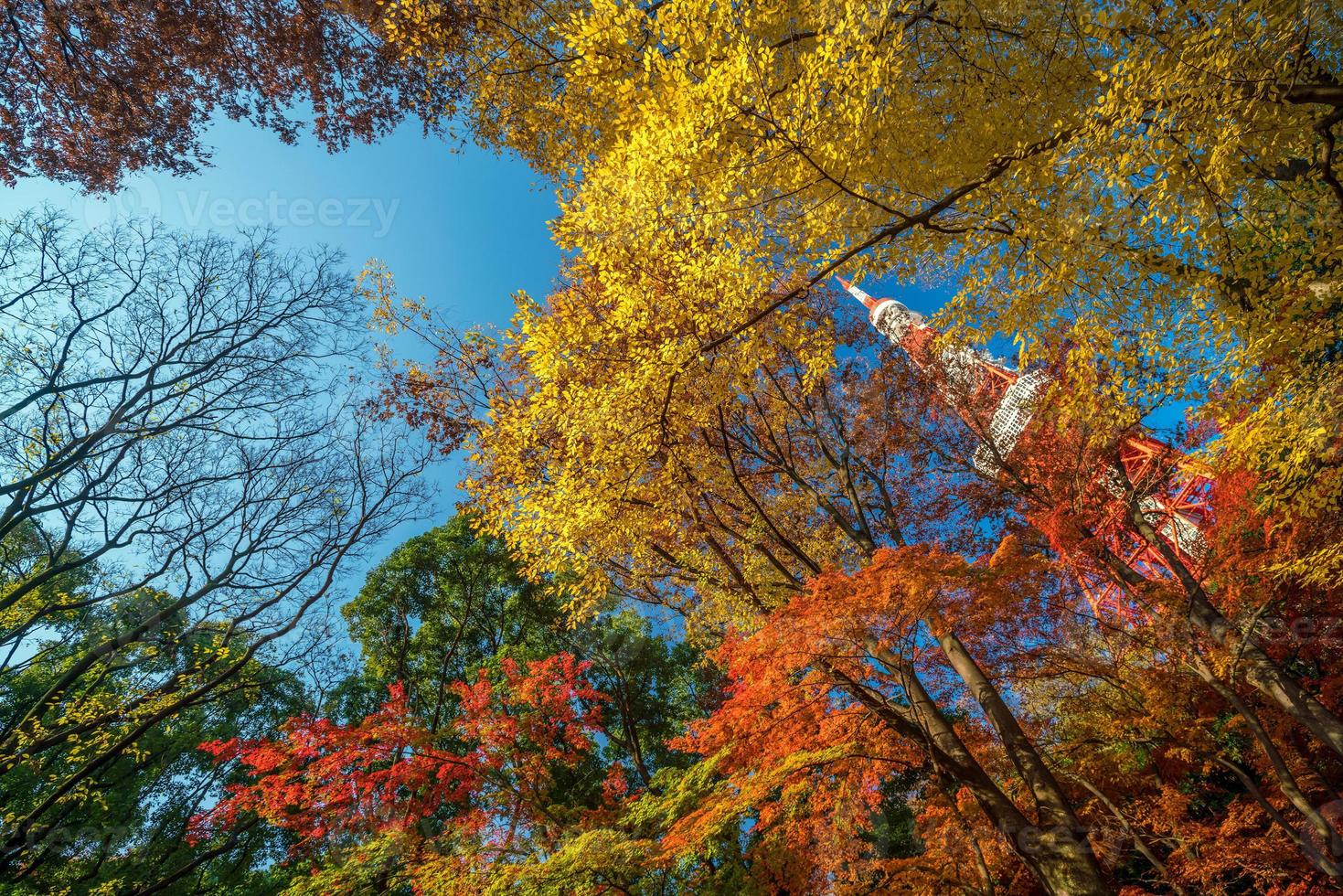 torre di tokyo con cielo blu in giappone foto