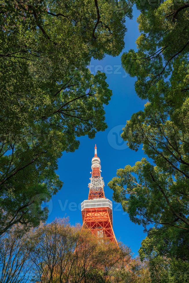 torre di tokyo con cielo blu in giappone foto