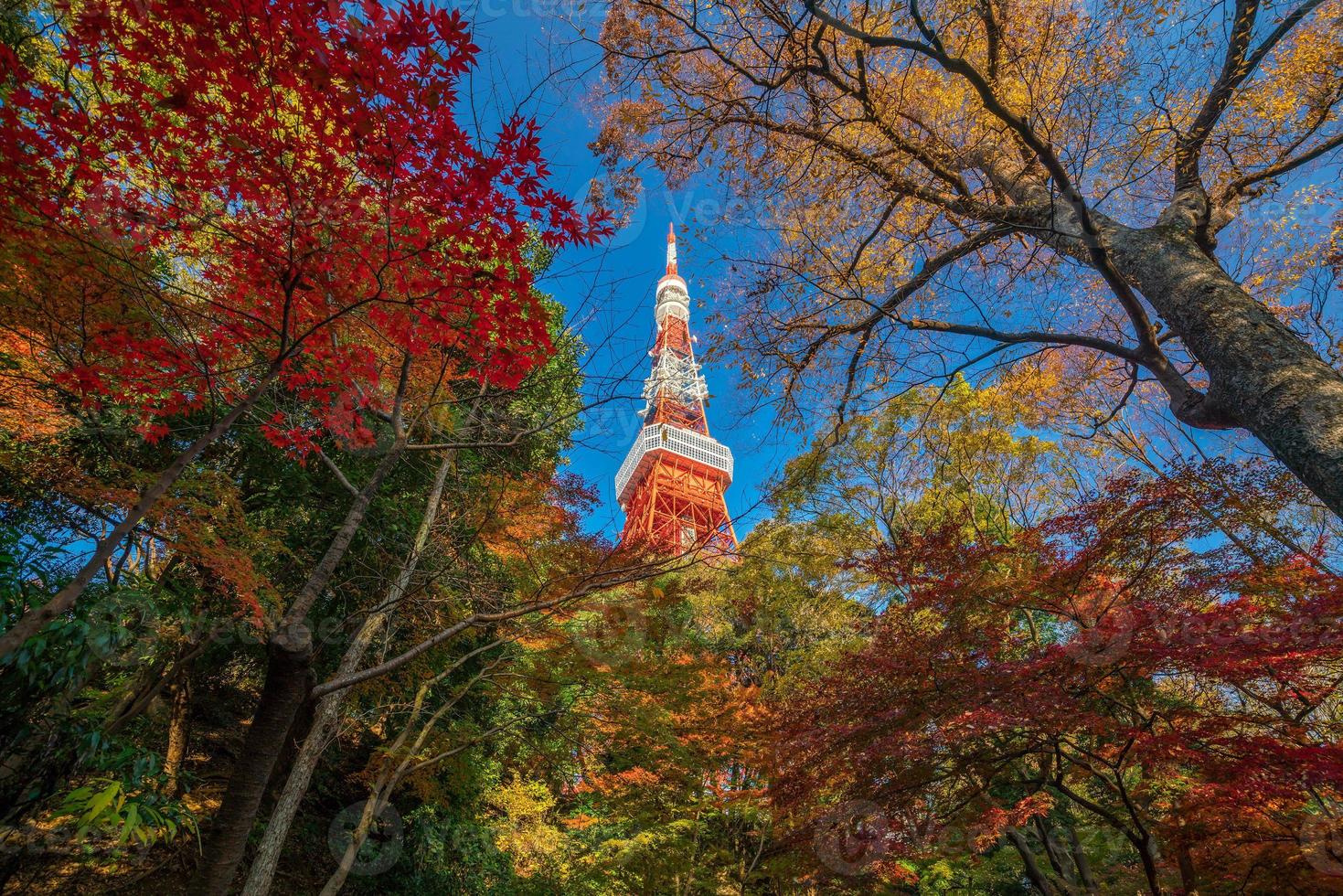 torre di tokyo con cielo blu in giappone foto