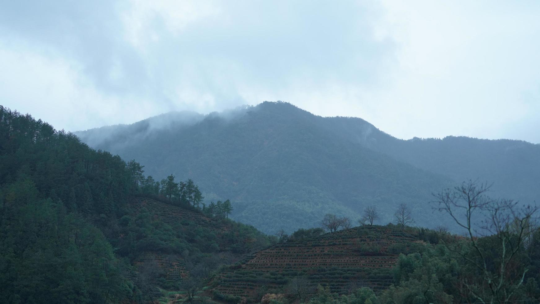 la bellissima vista sulle montagne con la foresta verde e il campo di fiori nella campagna della Cina meridionale foto