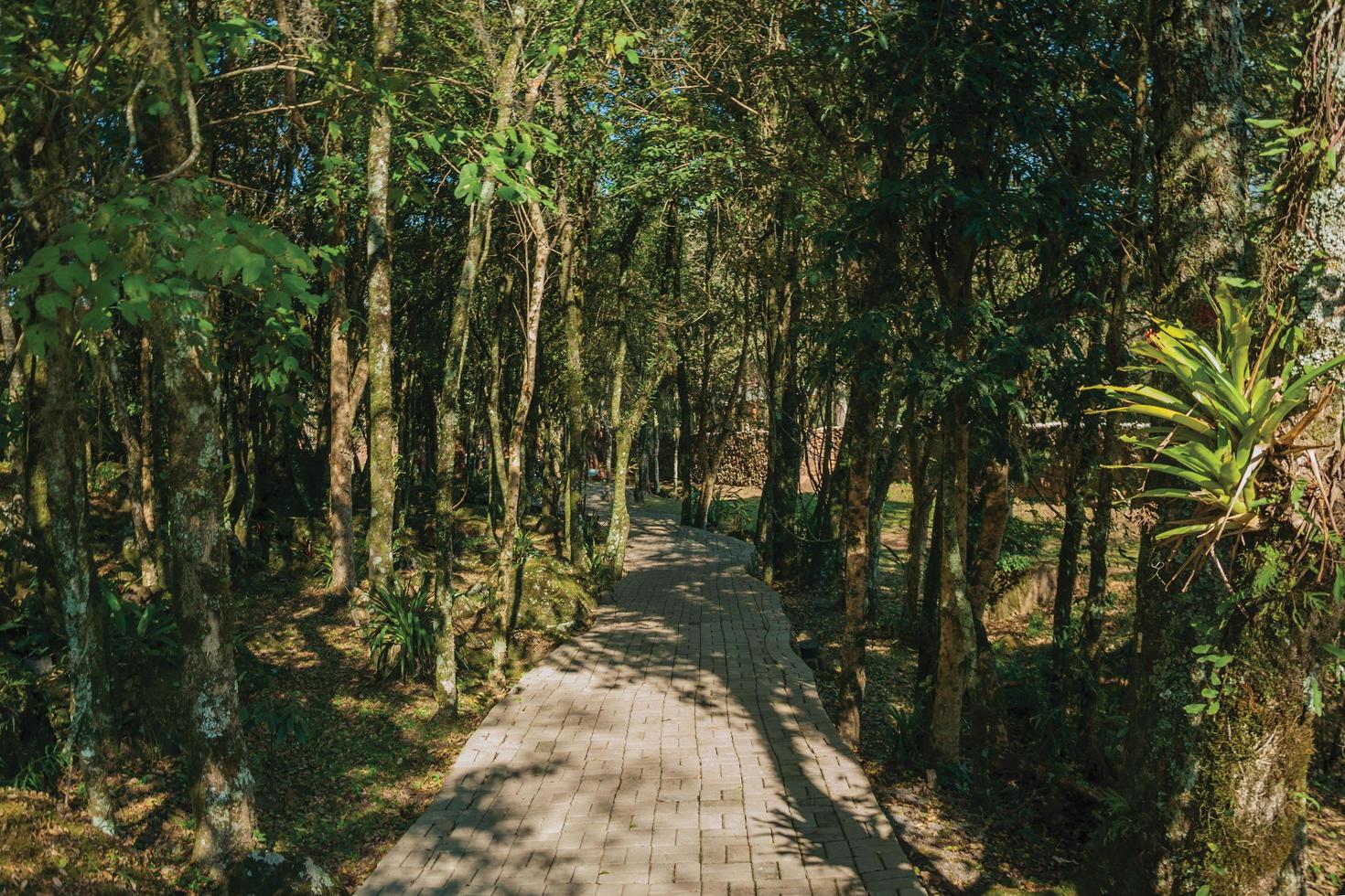 nova petropolis, brasile - 20 luglio 2019. sentiero lastricato in un paesaggio boscoso nel parco delle sculture pietre del silenzio vicino a nova petropolis. una graziosa cittadina rurale fondata da immigrati tedeschi. foto