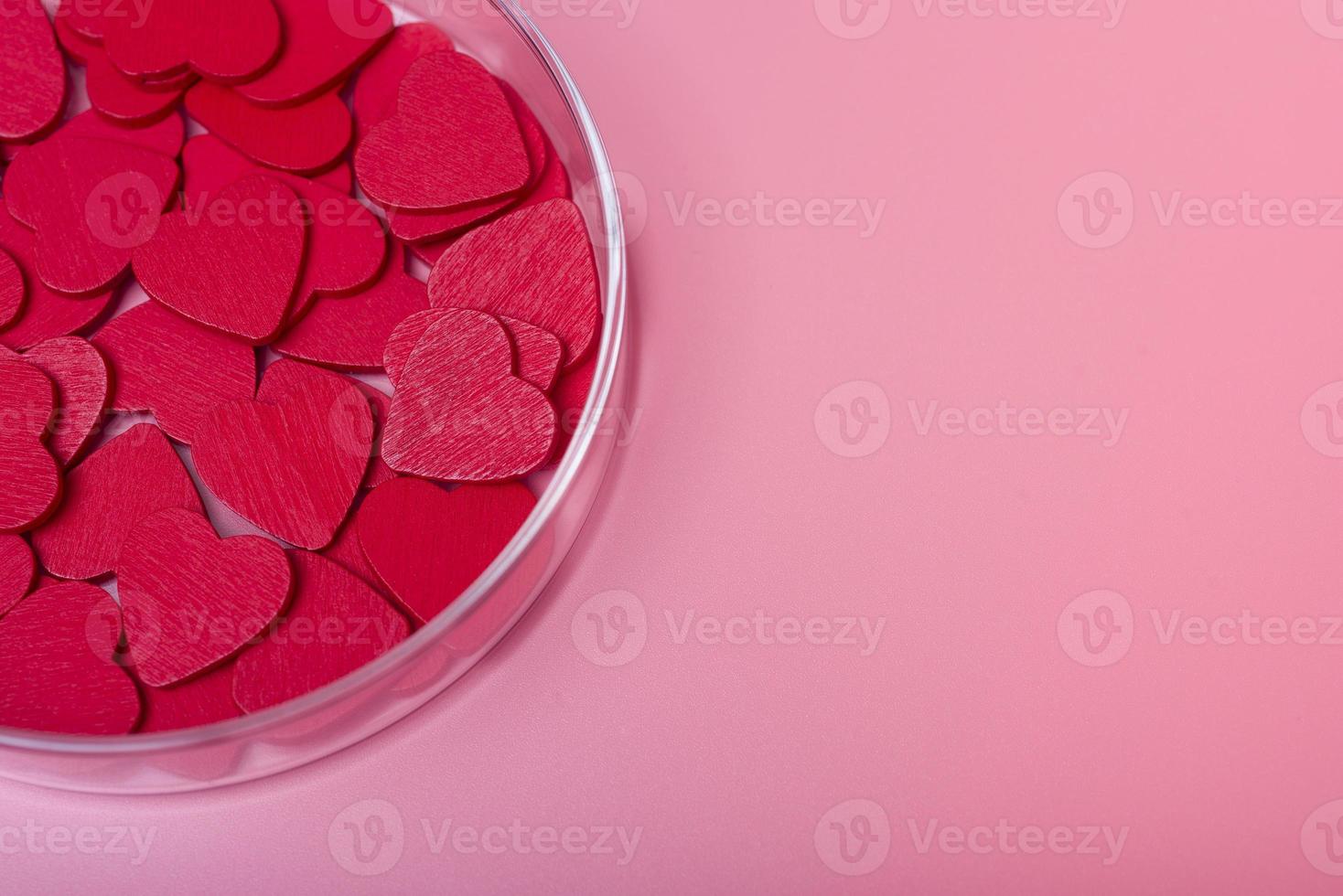 cuore in una capsula di Petri su uno sfondo rosa. foto
