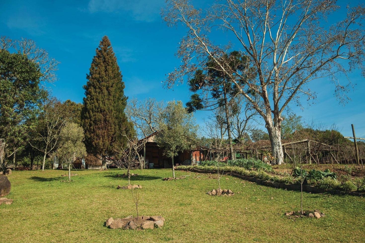 bento goncalves, brasile - 11 luglio 2019. incantevole giardino con alberi e prato verde, nel cortile di una proprietà rurale vicino a bento goncalves. foto