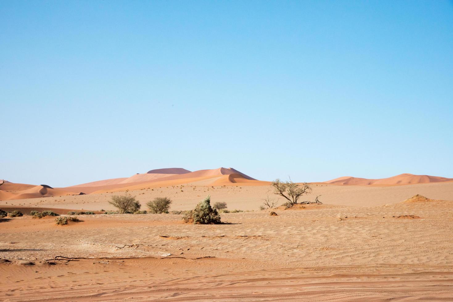 paesaggio arido nel deserto del namib. cielo azzurro, niente persone. namibia foto