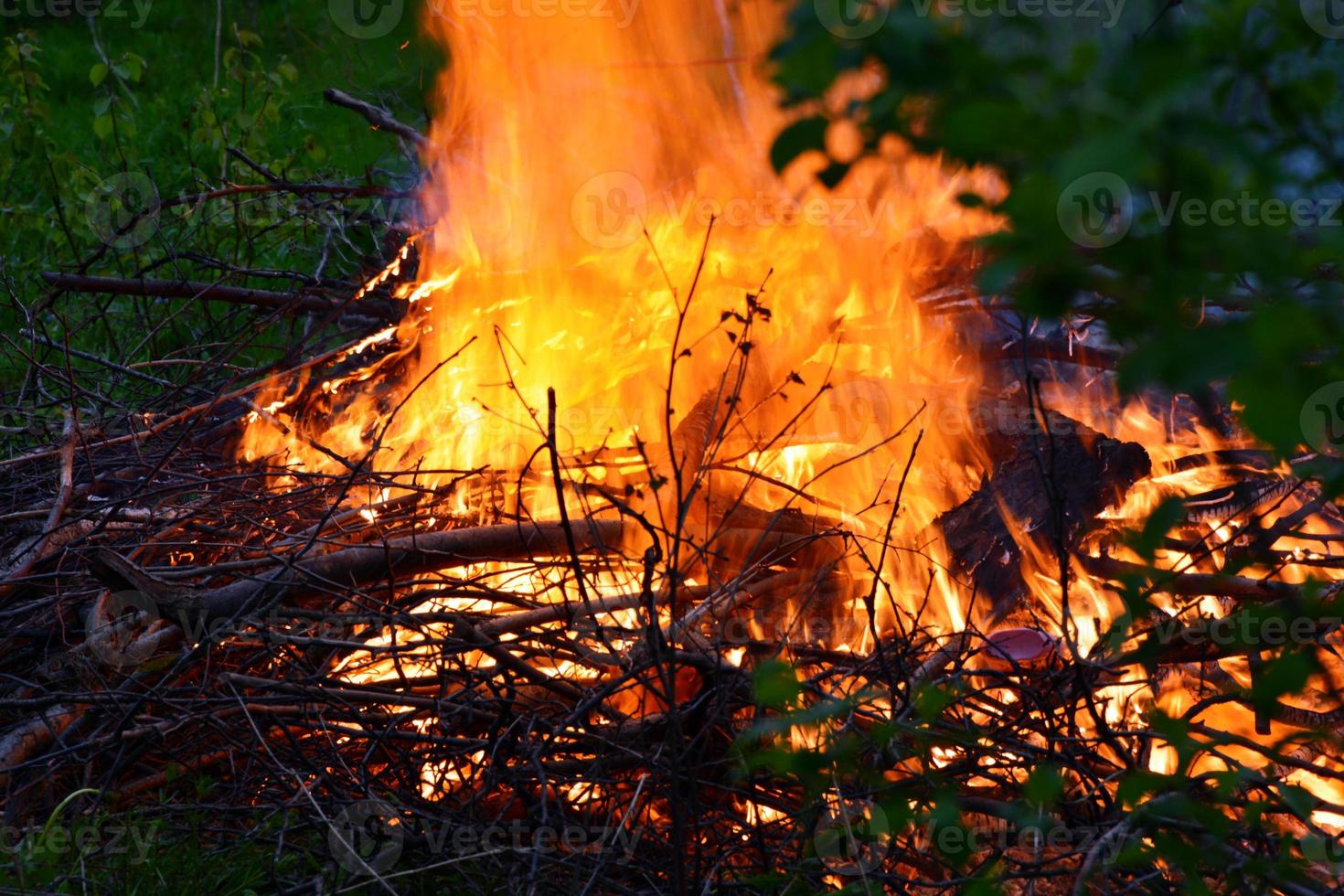 rami ardenti nel fuoco. un falò sta bruciando nella foresta. fiamma di fuoco. foto