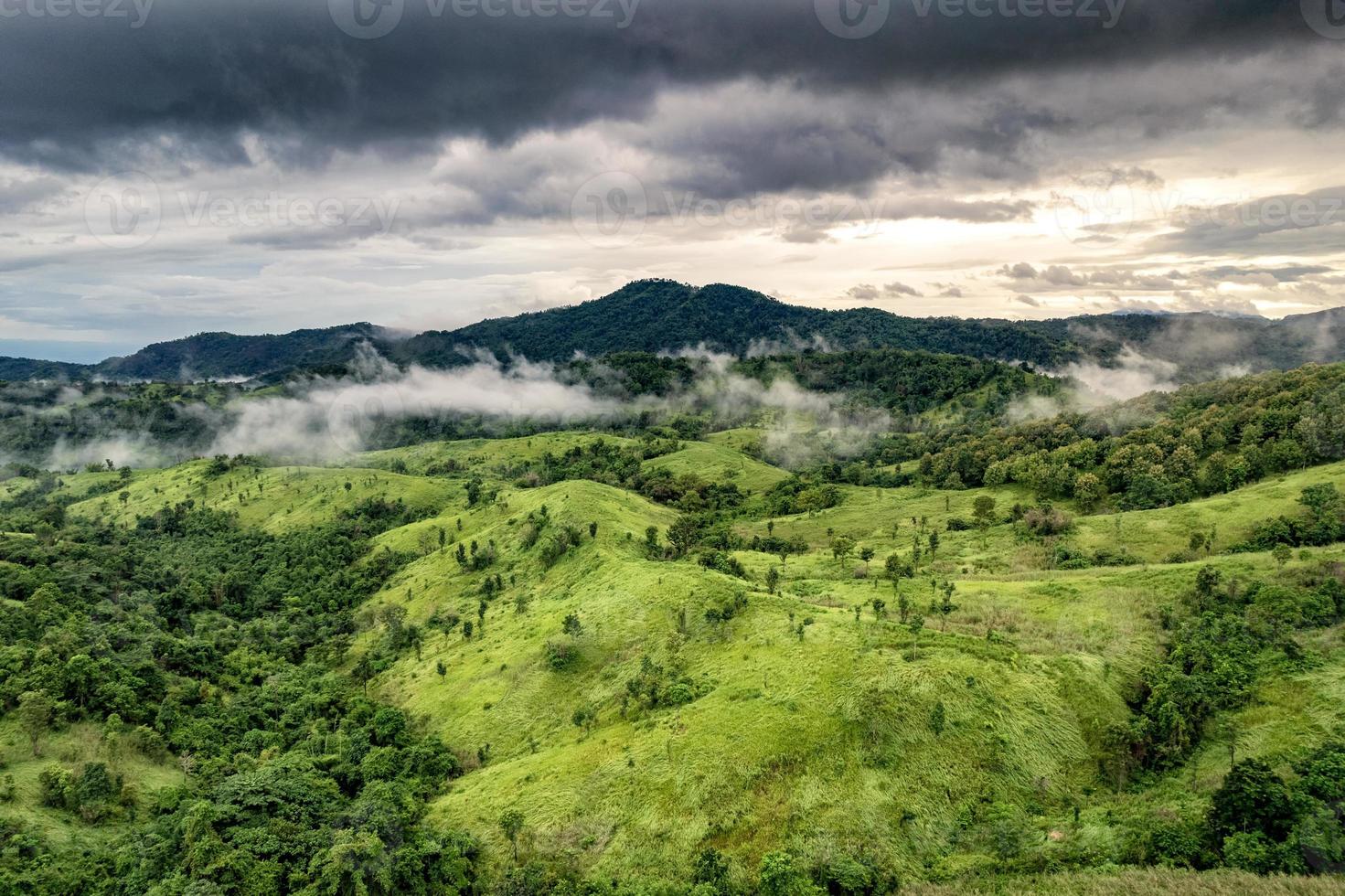 montagna nebbiosa nella foresta pluviale tropicale al parco nazionale foto