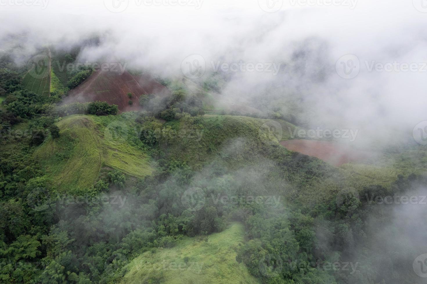 montagna nebbiosa nella foresta pluviale tropicale al parco nazionale foto
