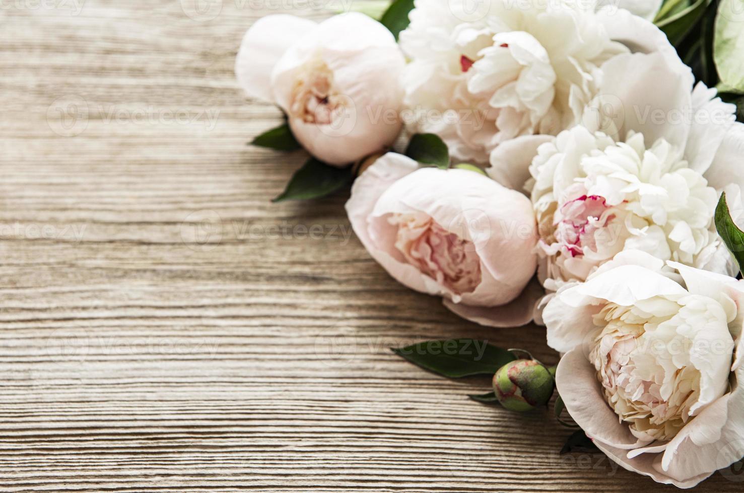 fiori di peonia rosa come un bordo foto