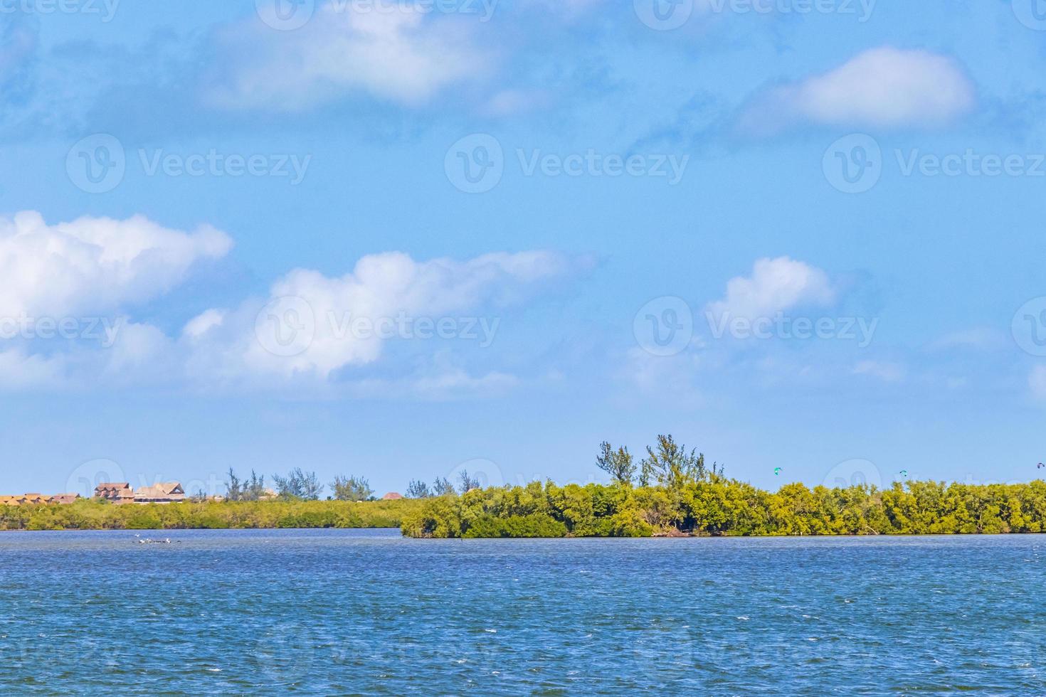 panorama vista del paesaggio isola di holbox natura banco di sabbia acqua turchese messico. foto