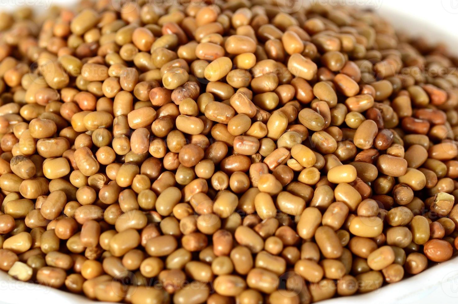 primo piano di fagioli di falena, nome indiano matki, primo piano di fagioli di falena un legume meno conosciuto foto