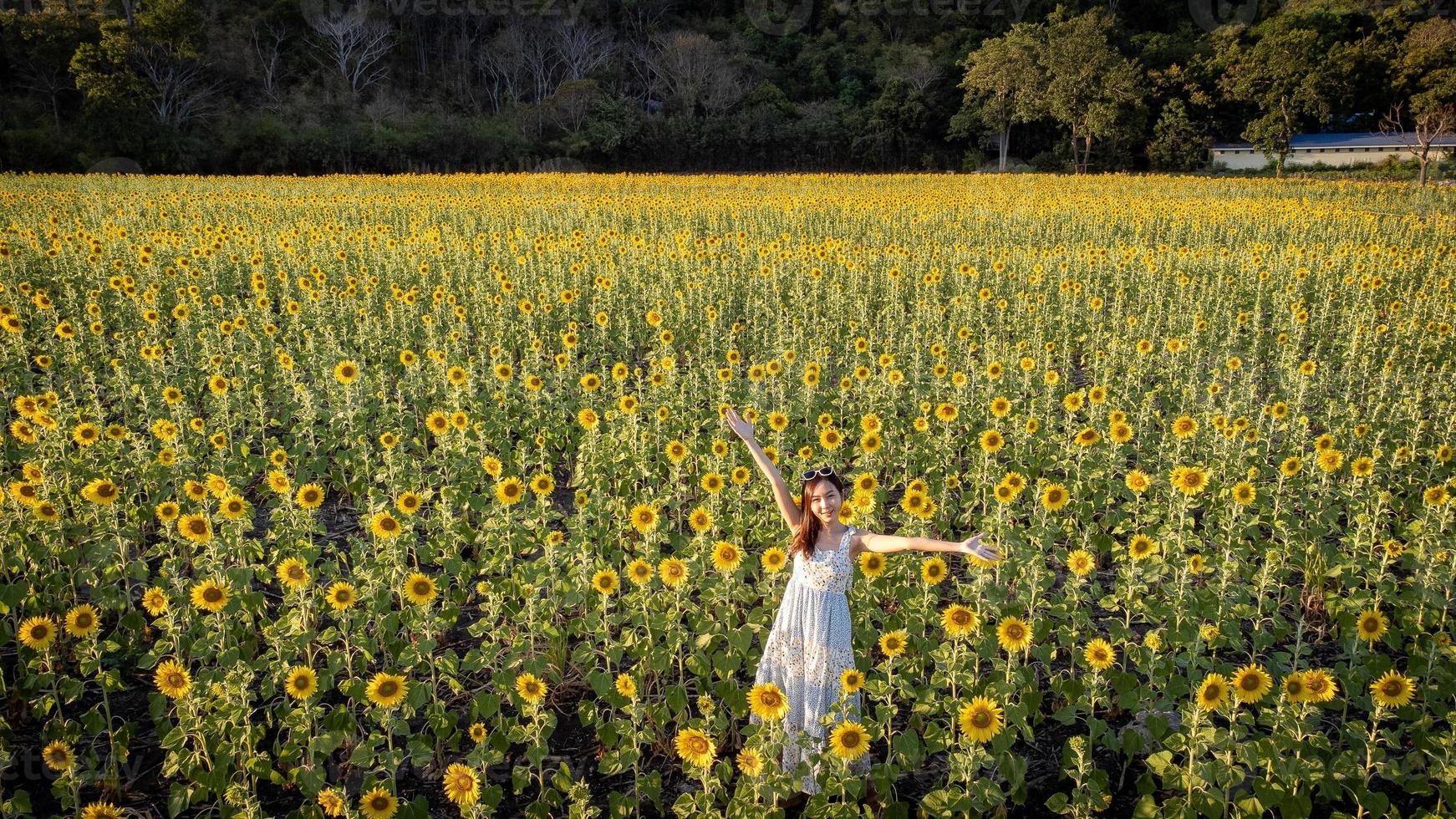 felice gioiosa ragazza asiatica con girasole godersi la natura e sorridere in estate nel campo di girasoli. foto