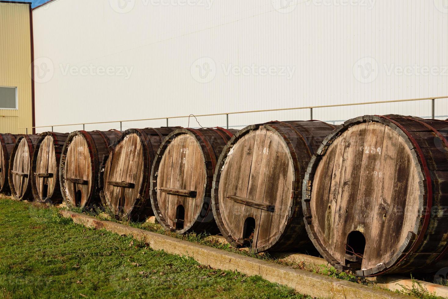 botti di vino in volte in ordine. bottiglia di vino e botti foto