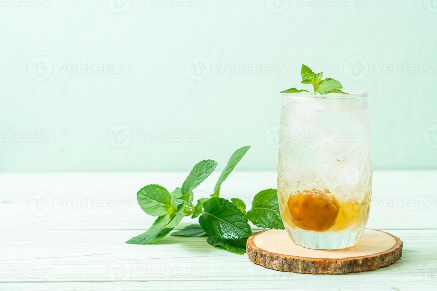 succo di prugna ghiacciato con soda e menta piperita foto