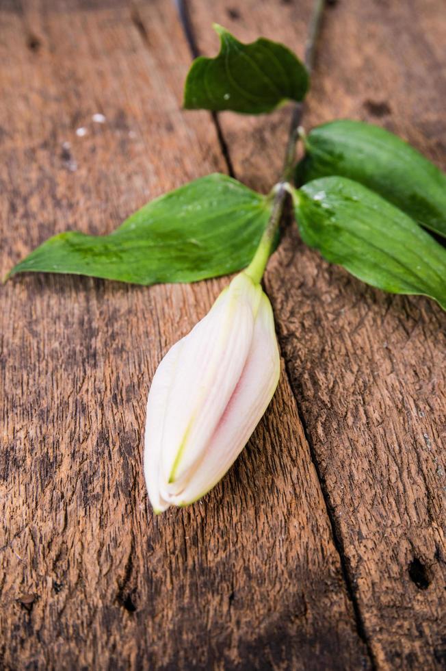 gigli bianchi di fiori su un vecchio fondo di legno foto