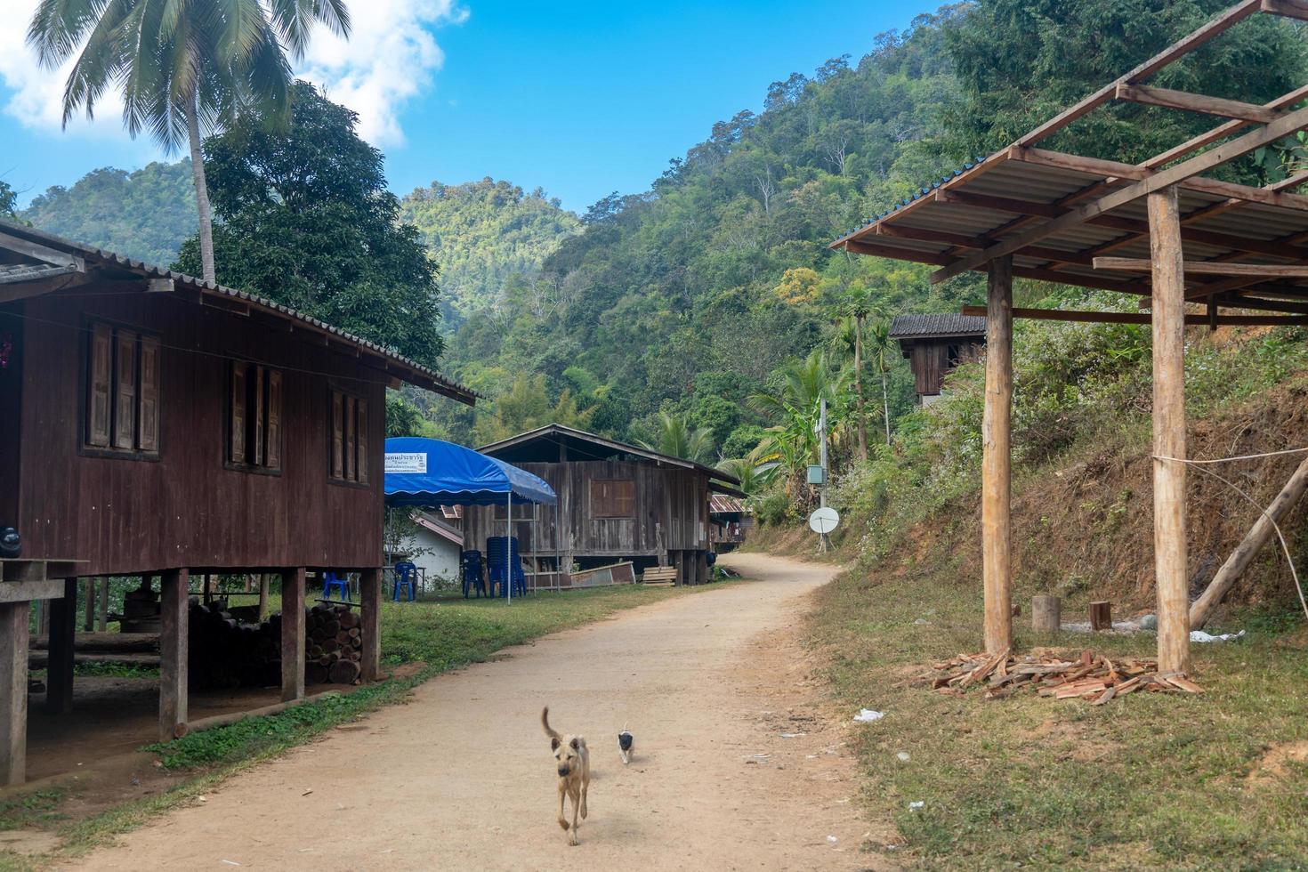 visitando ban huai haeng ban huay hom school, chiang rai, ciclo di mae hong son, mae sariang, nord della thailandia foto